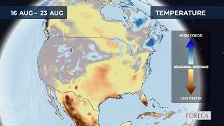 Monthly precipitation forecast for the USA 2026