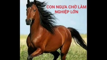 Câu Chuyện Nội Tâm: CON NGỰA CHỜ LÀM NGHIỆP LỚN