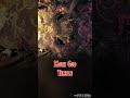 The Party arrives at... the Moth God Temple | (No AI | D&amp;D / TTRPG Music)