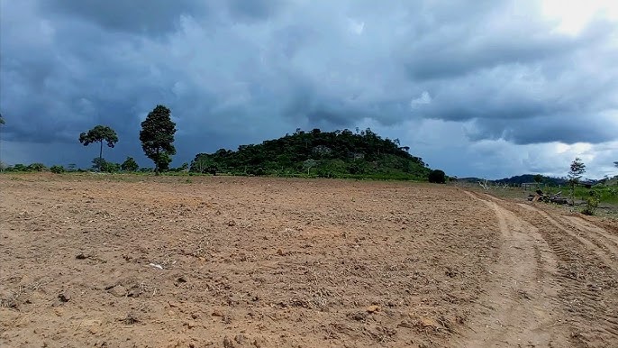 Tempestade em Colniza faz rio transbordar e alagar zona rural