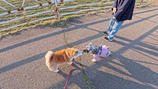 2026年4月30日(木) 仲良くなれるかな？Newフレンドポテト君
