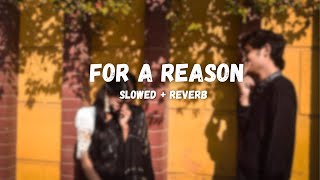 For A Reason - Perfectly Slowed Reverb - Karan Aujla
