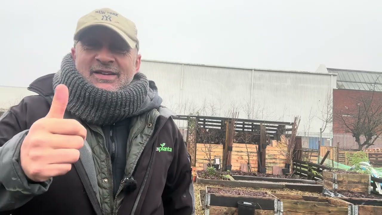 № 263 - Печальные новости, но сюжет продолжает развиваться.