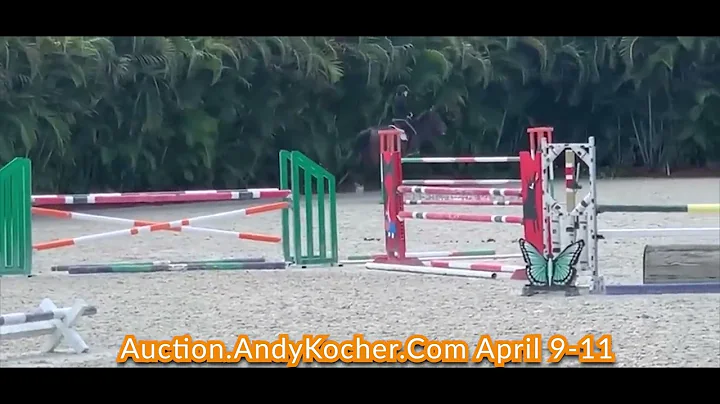 Andy Kocher Sport Horse Auction April 9-11 2022 Do...