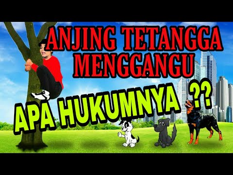 Video: Cara Mengusir Anjing Anda Dengan Perlindungan