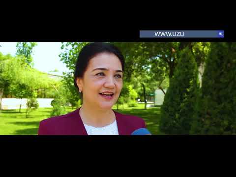 Video: Yilda Ishsizlik Bo'yicha Nafaqa Miqdori