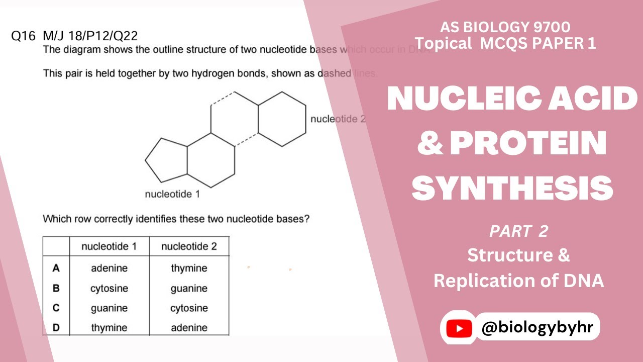 Nucleic Acids & Protein Synthesis | Topical MCQs | Part 2 | AS Level ...
