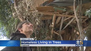 Homeless In Fremont Living In Tree Houses