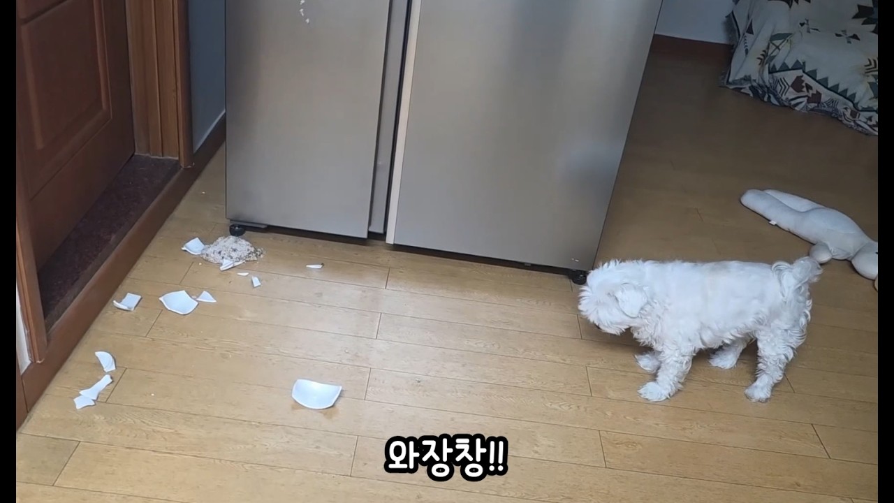 69kgㅣ오랜만입니당