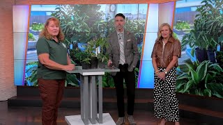 Benton County Master Gardeners Host Annual Plant Sale
