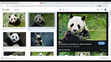 LT Tin học 5 - Chủ đề 10: Bài thực hành giữa kì 1 - Phần thực hành (Tuần 13)