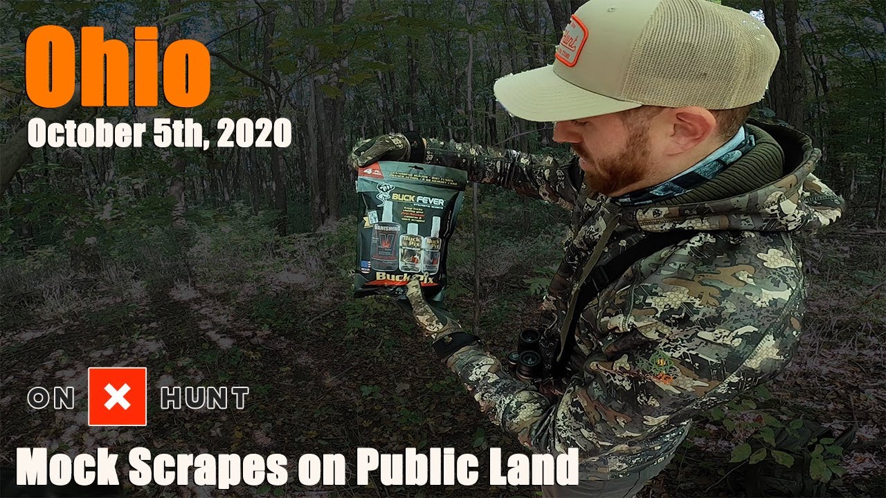 Mock Scrapes on Public Land Ohio Bow Season 2020 YouTube