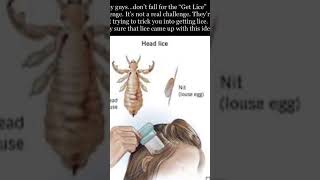 Living Memes S2E43 Warning, The  Get Lice Challenge  Is Not A Real Challenge. Whos Behind This?