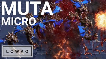 StarCraft 2 Guide: How-to Micro Mutalisks - Magic Box Tutorial!