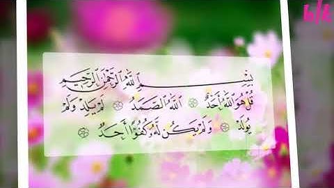 سورة الإخلاص مكررة الشيخ مشاري راشد العفاسي