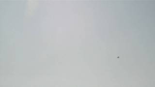 CLIP0024.AVI