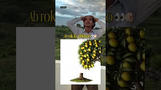 6f6djcj.  fydv.  satta 5 to the show is going on and off the animal's to th