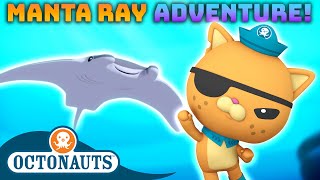 @Octonauts - Manta Ray Adventure! 🪸 | World Manta Ray Day Celebration! 🎉 | 60 Mins Compilation