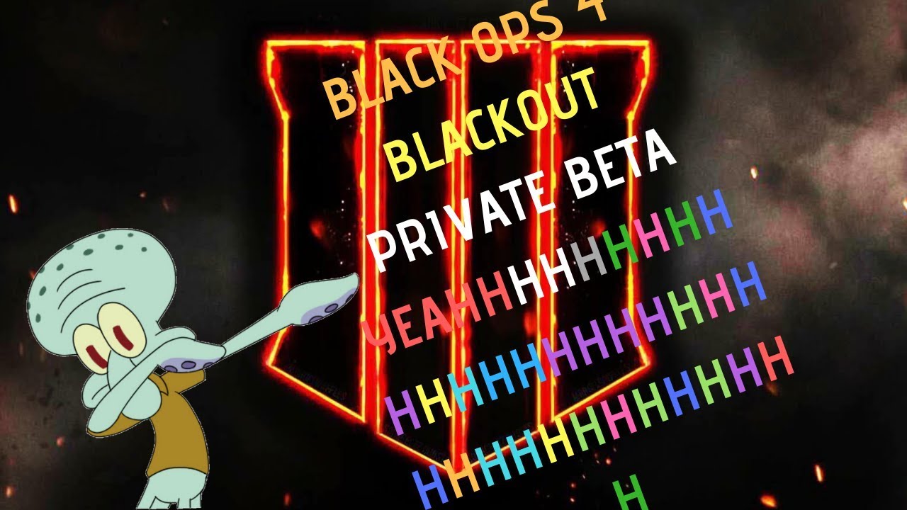 PRO BLACKOUT PLAYER INCOMING! | BO4