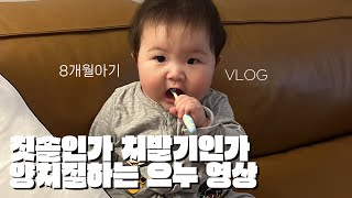 혼자 양치질하겠다는 8개월 아기 으누(칫솔아니구 치발기..) | VLOG