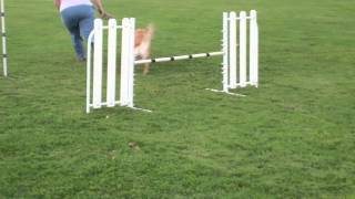 Abbie 20120906 6