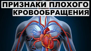 ПРИЗНАКИ ПЛОХОГО КРОВООБРАЩЕНИЯ.Как улучшить кровообращение организма.