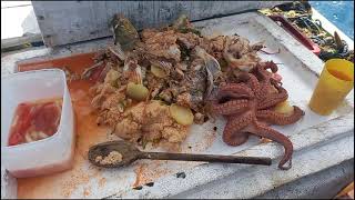 Atoleiro A Moda Mamute,Melhor Hora Da Pescaria Dos Mamutes