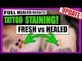 UPDATE! Healed Stained Tattoo! Avoid Staining &amp; Instantly Improve Tattoo Results!