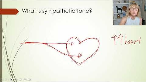 Autonomic nervous system - Part 1