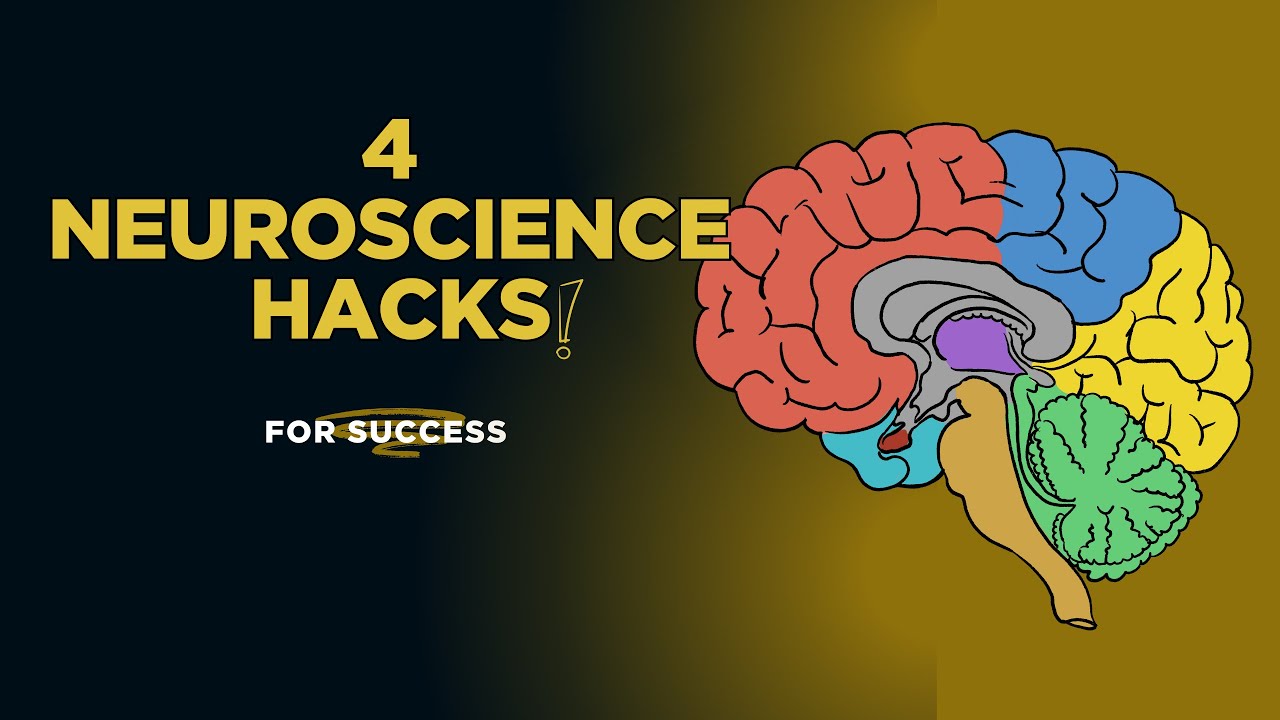 Train Your Brain for Success 4 Neuroscience Hacks! - YouTube