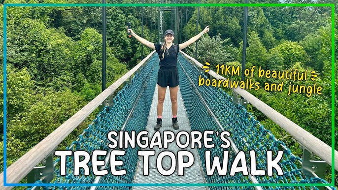 Singapore's Best Hiking Trails - Tips for Hiking in Singapore