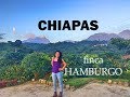 Paseo por la Ruta del Café en Chiapas | Finca HAMBURGO
