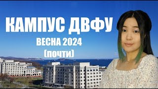 Кампус ДВФУ 2024: набережная, кампус, учебный корпус