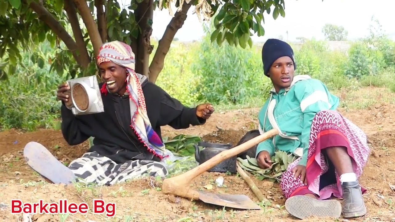 New Comedy 😃 Afaana Oromo // Waan hudduu lamaa😃 // Barkalle Bg