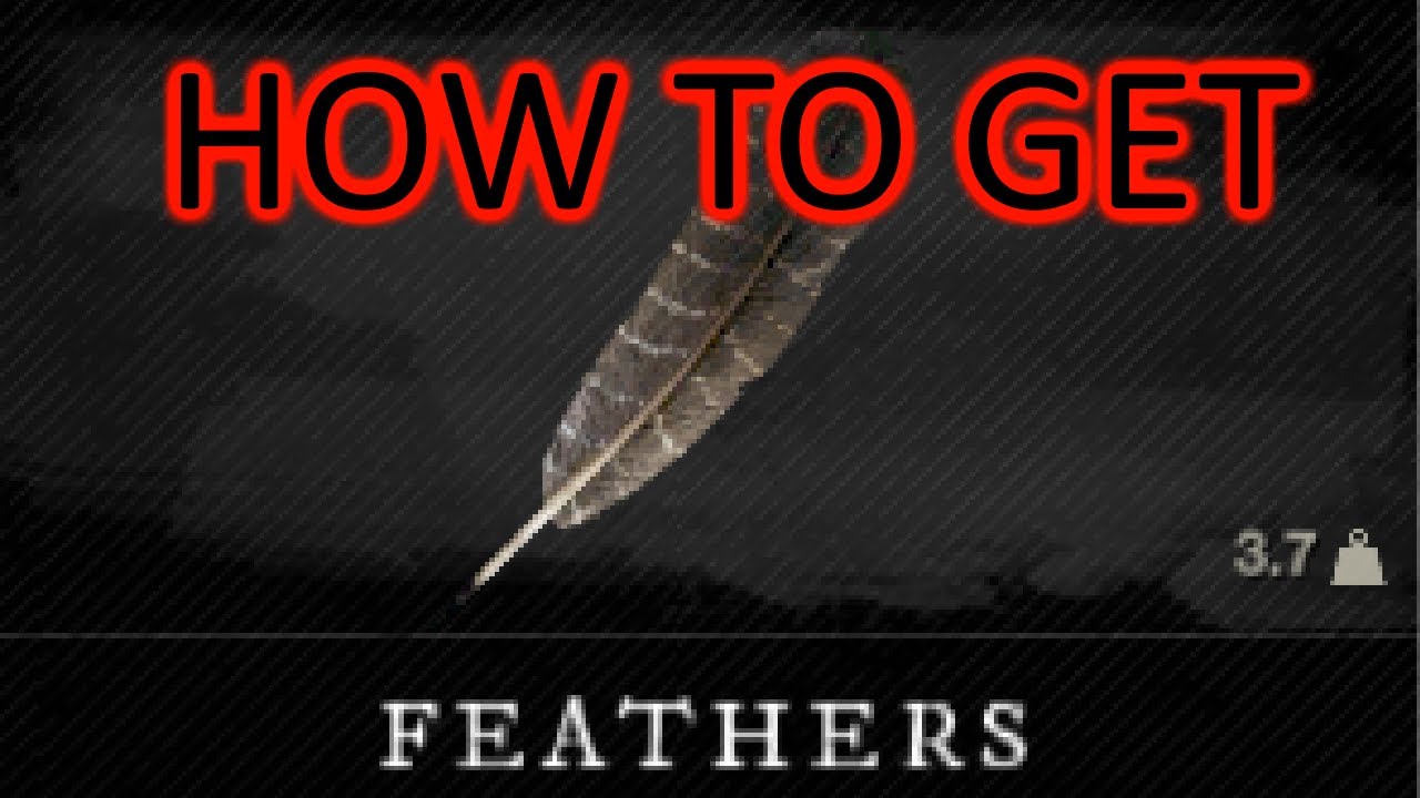 How To Get Feathers In New World Feather Farming In New World To Make Arrows For Your Bow Youtube - 2021 arrowhead roblox