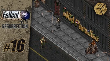 A Wild Paradise - Let