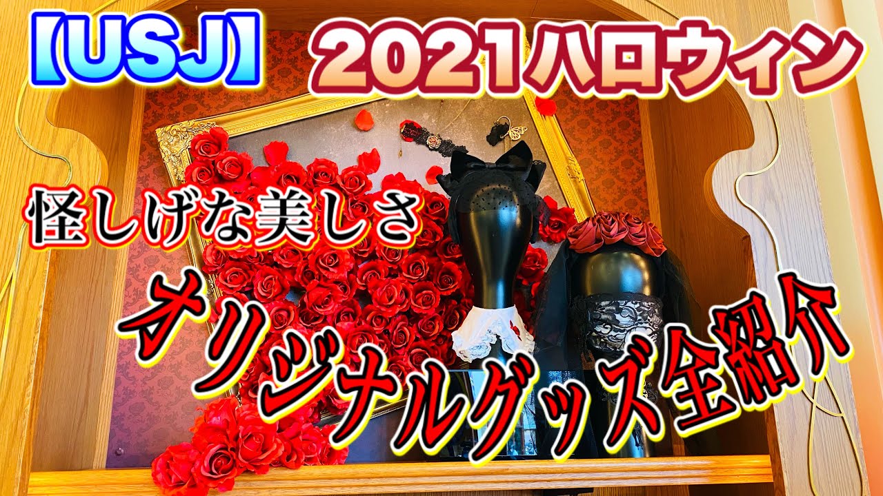 動画を再生