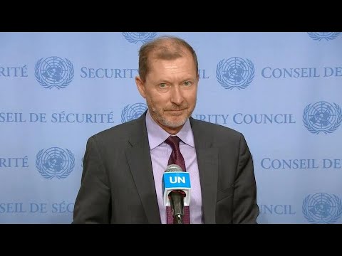 Security Council President on Middle East peace process - Media Stakeout (24 February 2020)