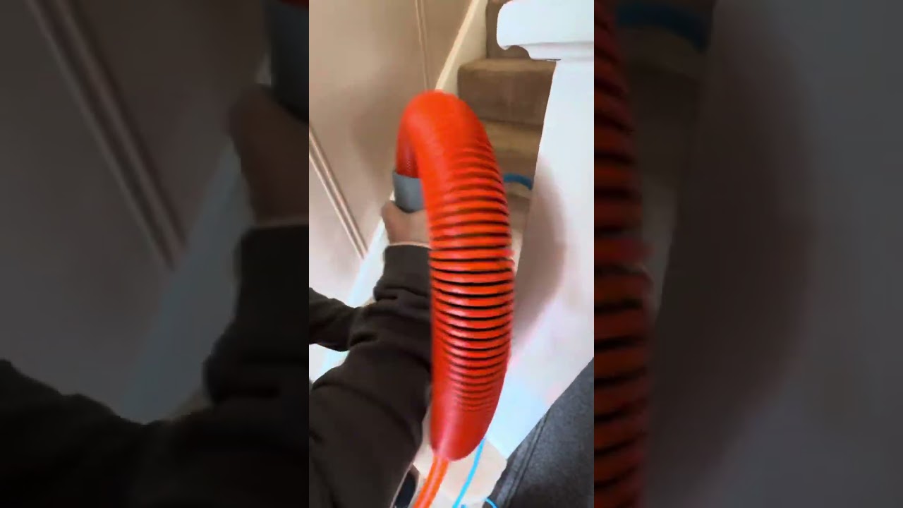 Wool v Synthetic Carpets, which is better? 