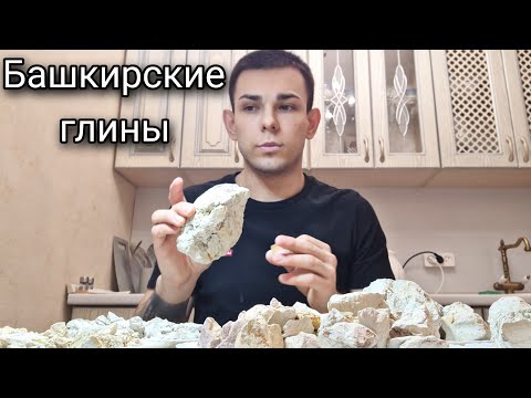 Видео: Башкир нугас: үржлийн онцлог