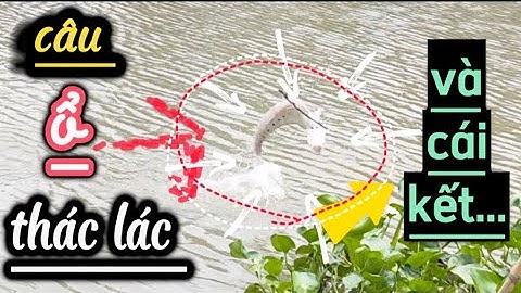 CÂU CÁ NÀNG HAI II ✅ câu ổ nàng hai bằng giun.. và cái kết (⁠^⁠^⁠)#nanghai