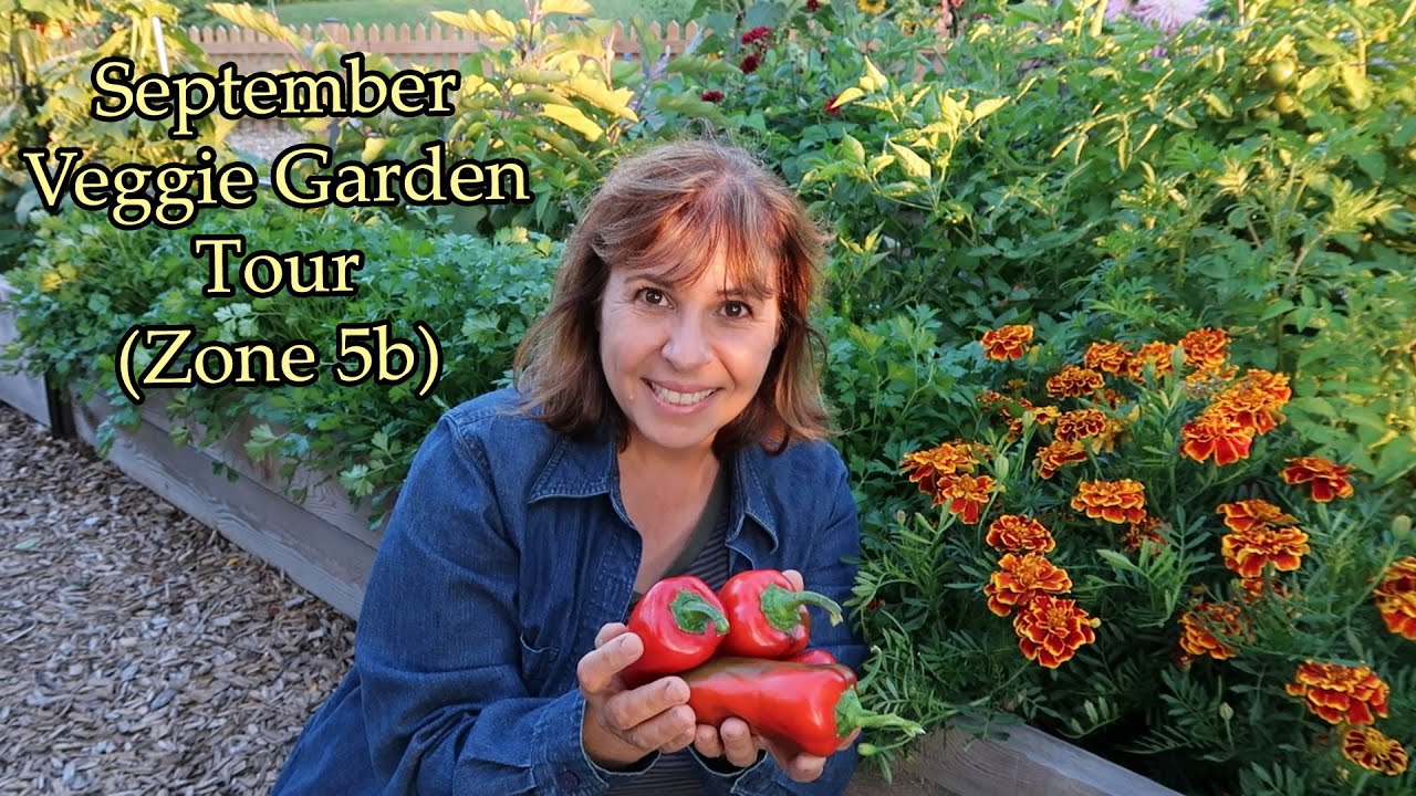 September Veggie Garden Tour (Zone 5b) - YouTube