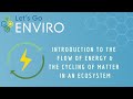 Ecosystem Dynamics Energy Flow and Matter Cycling