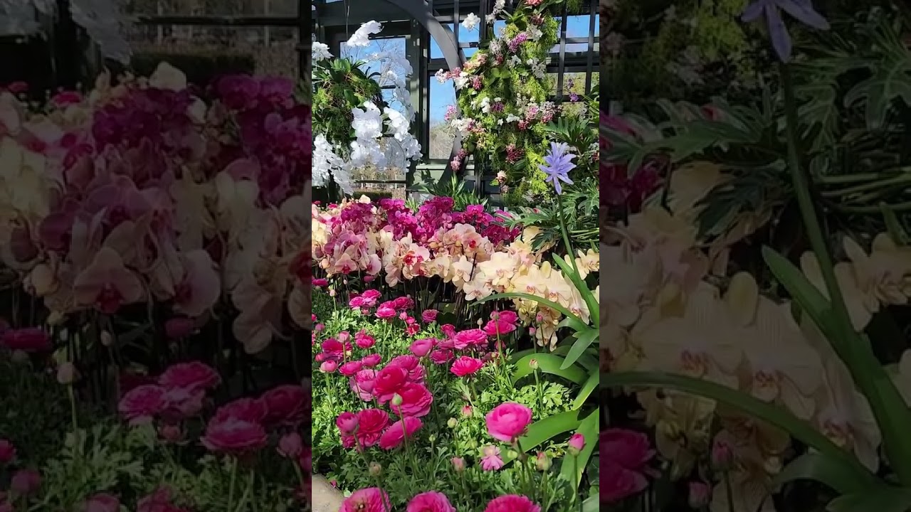 Wandering through a Canadian garden is like stepping into a masterpiece painted by time, light,