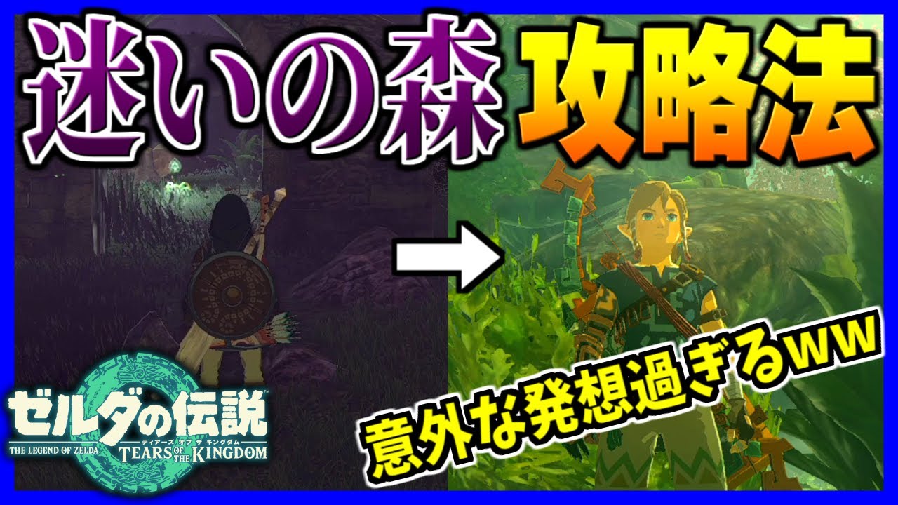 ティアキン】迷いの森の攻略法が判明！！ 超意外な方法でコログ