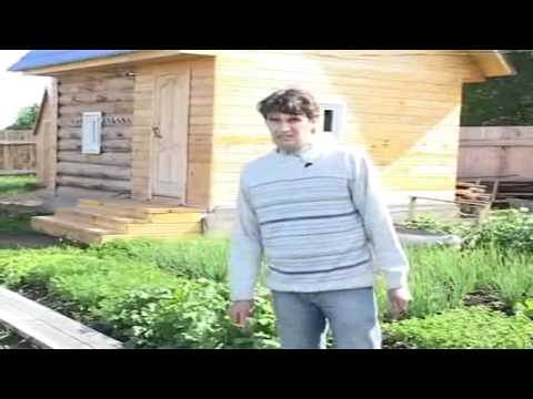 Ландшафтный дизайн. План участка