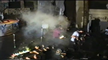 Ugly Duckling - Extremity