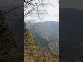 下栗の里の春 (長野県飯田市)