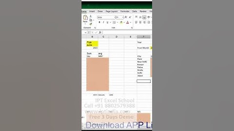 advanced excel training  #SHORTS #excelcourse  #macros #vba #excel #mis #msexcel #iptindia