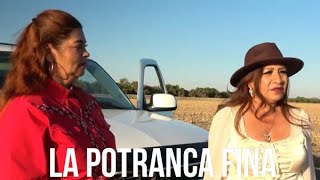 La Potranca Fina (Trailer Official)